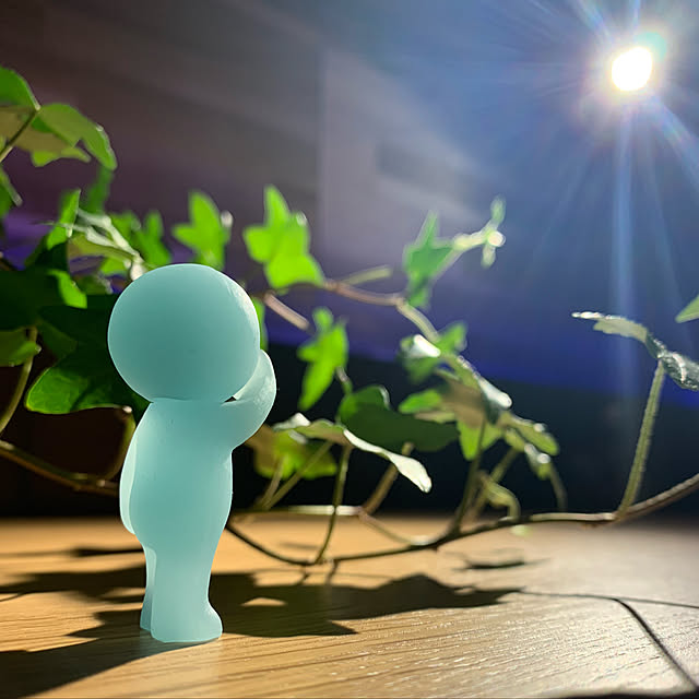 auraさんの実例写真