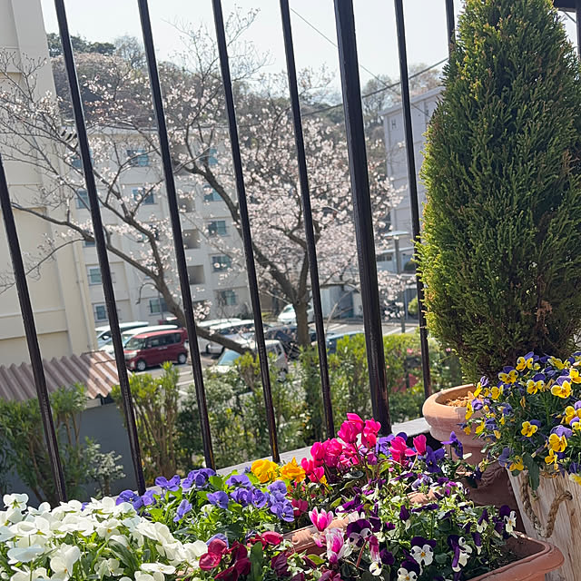 syutmmさんの部屋