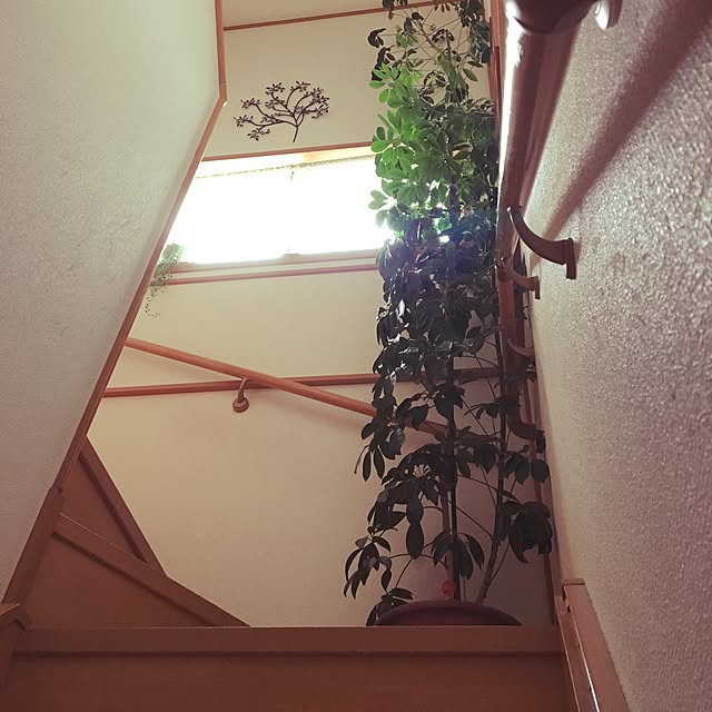 Yukiさんの実例写真