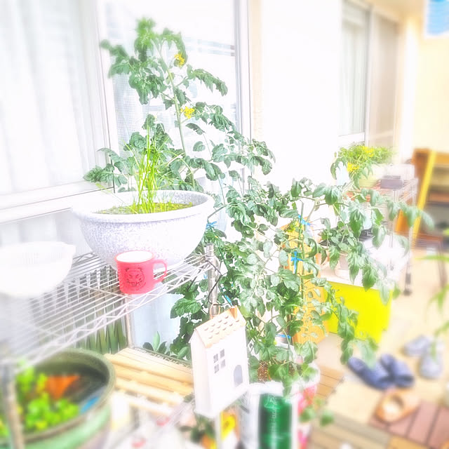 mariaさんの実例写真