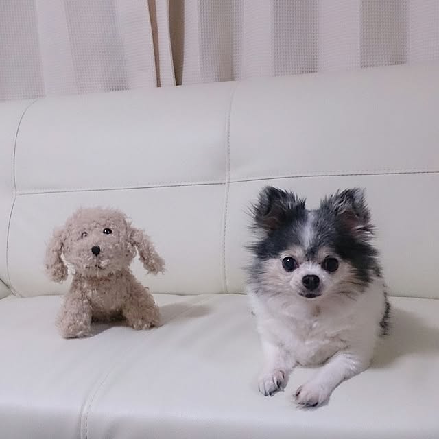 6023mitsuさんの実例写真