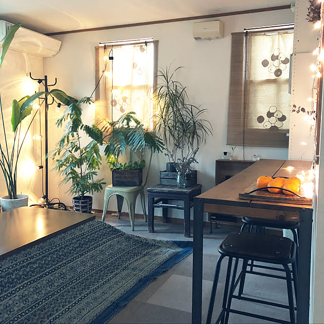 アンティークスツール/オーガスタ/Instagramやってます/観葉植物/IKEA...などのインテリア実例 - 2022-01-15 18:02:13