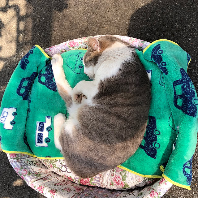 earthさんの実例写真