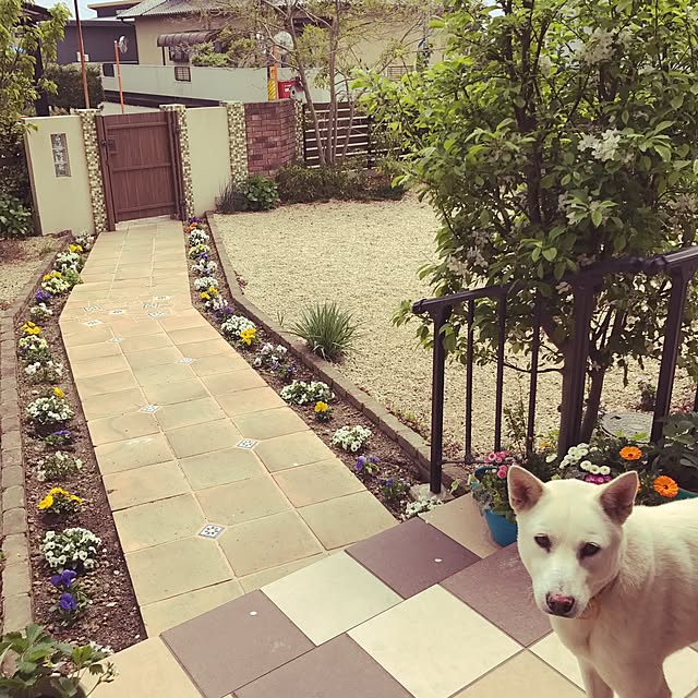 meさんの実例写真