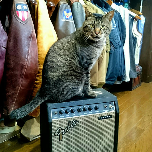 ken.kawakamiさんの実例写真