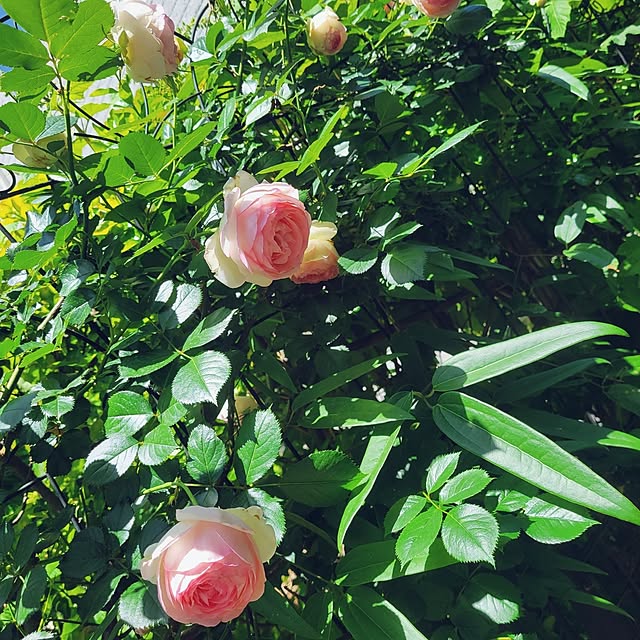 mimi828さんの部屋
