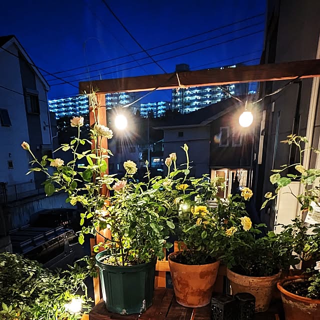 実例写真