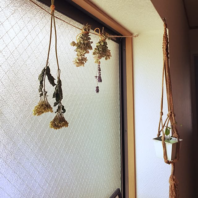 n_ikumiiiさんの実例写真
