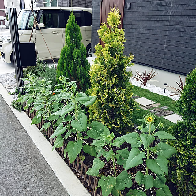 jijicoさんの実例写真