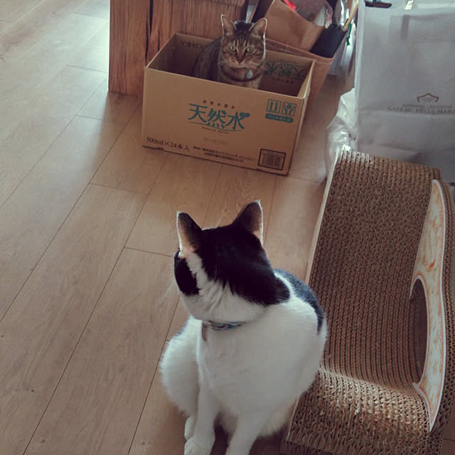 futukoさんの実例写真