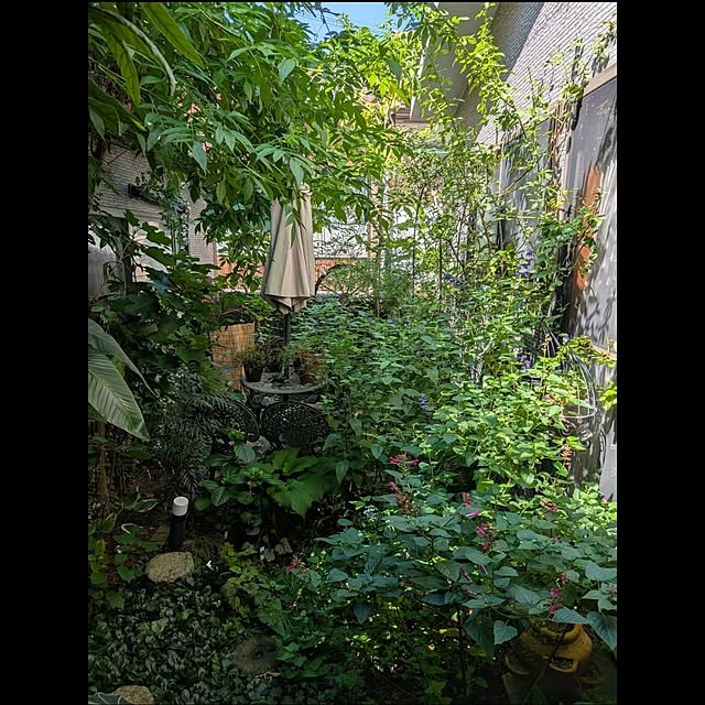 aromameさんの実例写真