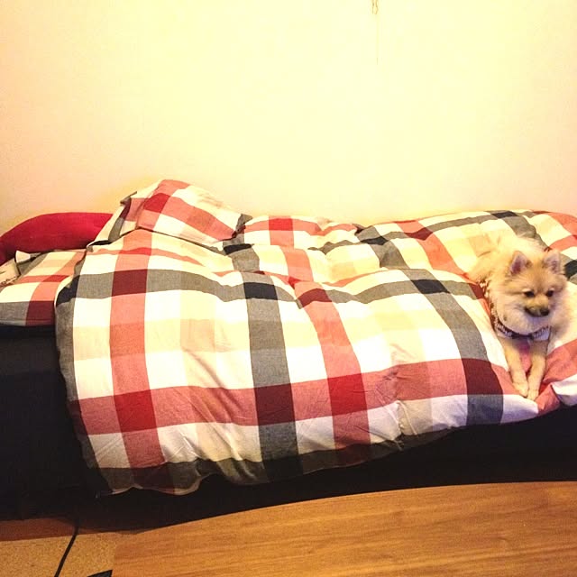 nakaharasuzukaさんの実例写真