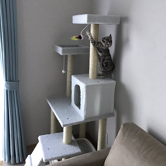 tajaboさんの実例写真