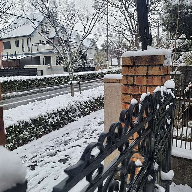 VIORAさんの実例写真