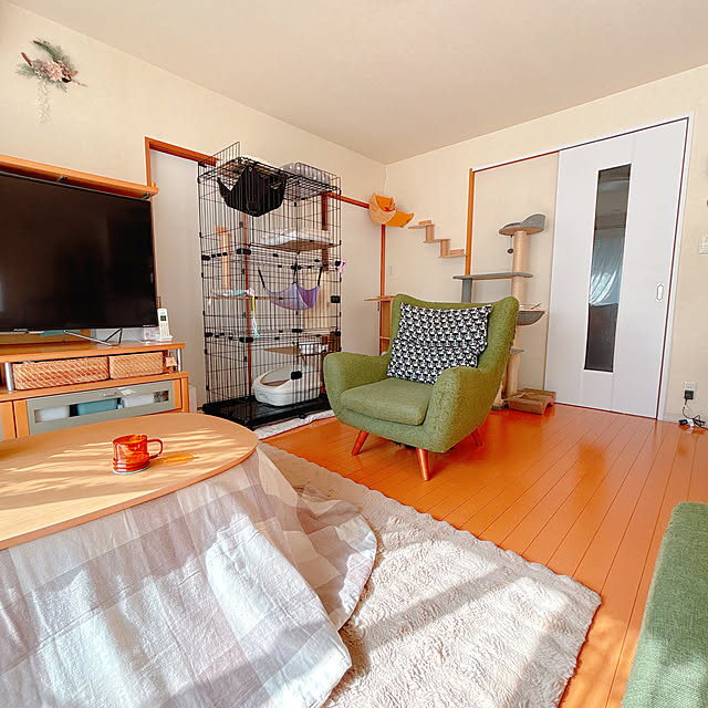 moolさんの実例写真