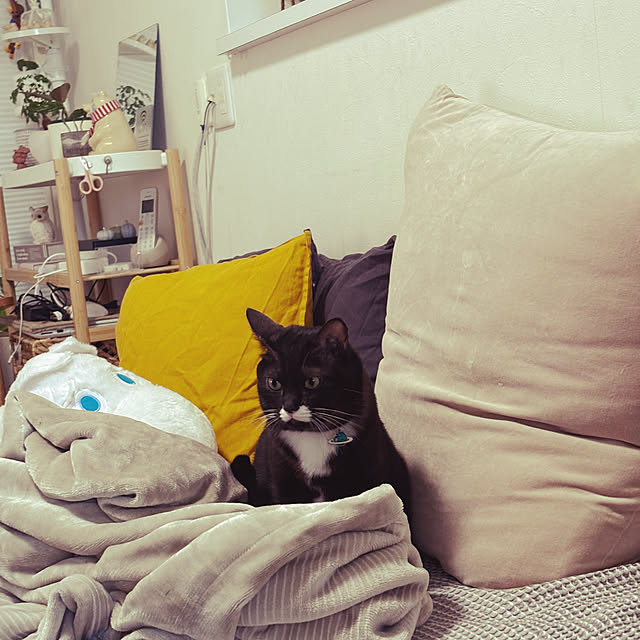 masamasaさんの部屋
