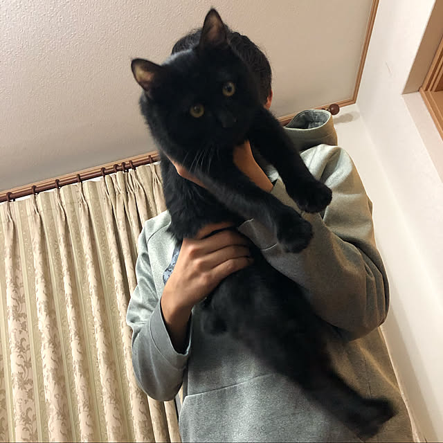 ayutaxさんの実例写真