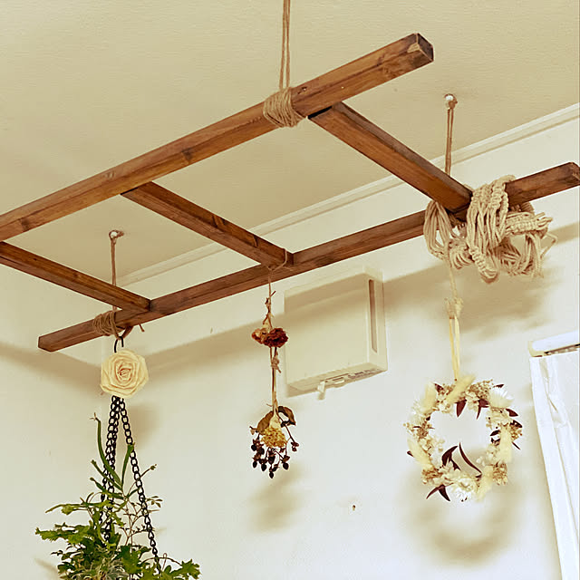 salut!/観葉植物/ドライフラワー/壁/天井のインテリア実例 - 2022-01-14 22:31:17