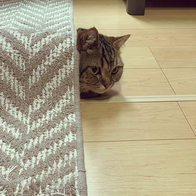 chiiさんの部屋