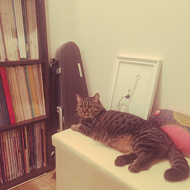nocomomさんの実例写真