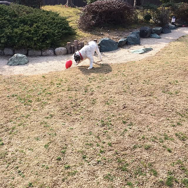 nuiさんの実例写真