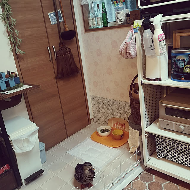 akiさんの実例写真