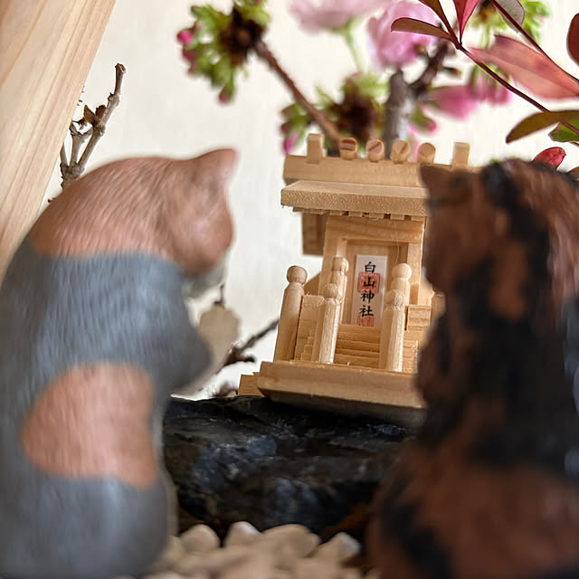 thirorunさんの部屋