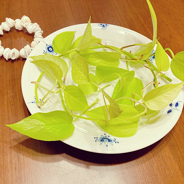 harvestさんの実例写真