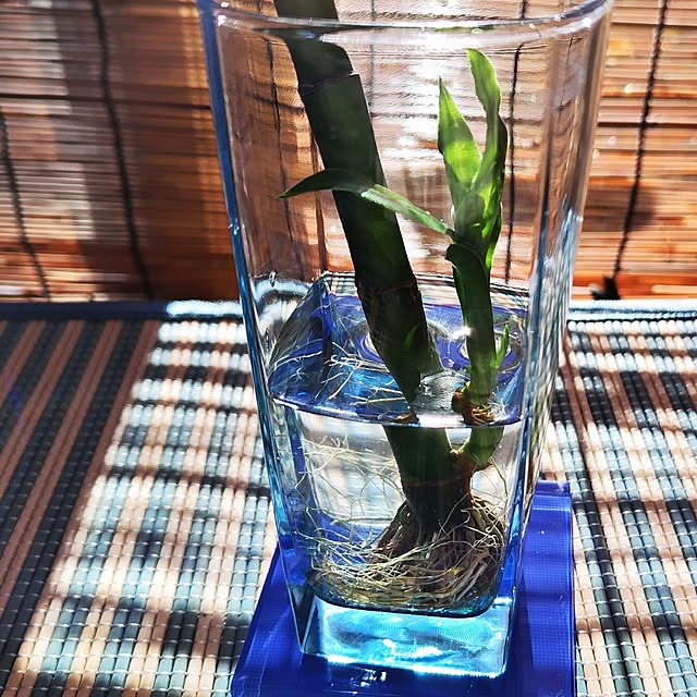 katさんの部屋