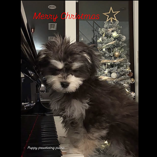 Ad.nakoさんの部屋