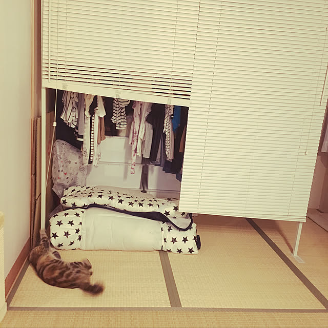 nomu2さんの実例写真