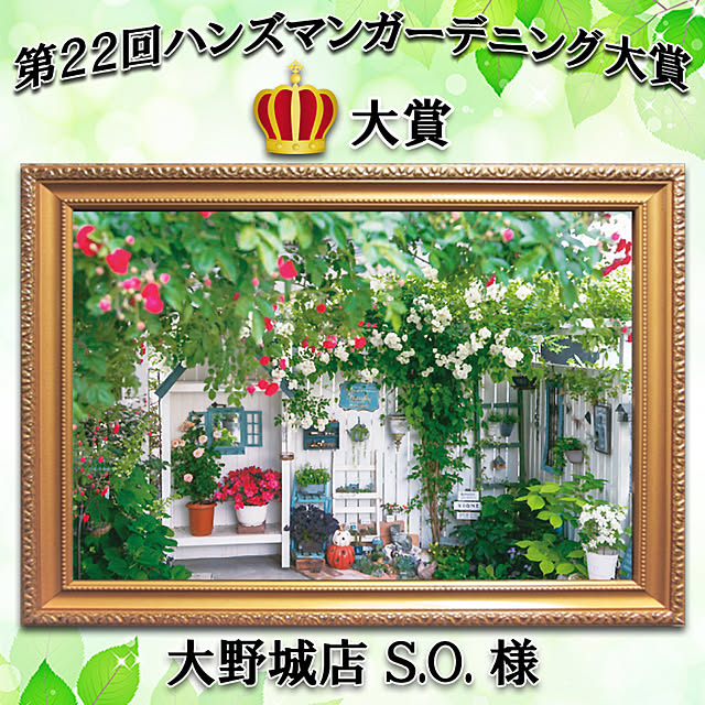 実例写真