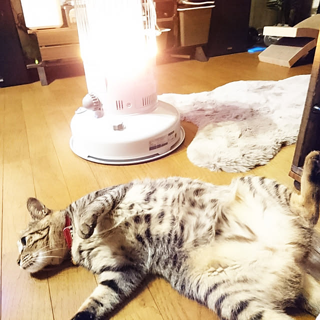 meguさんの実例写真