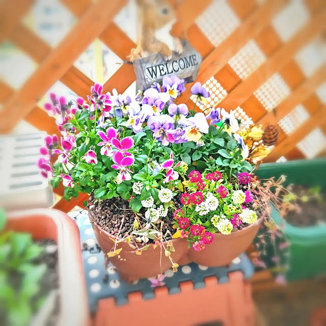 mariaさんの実例写真