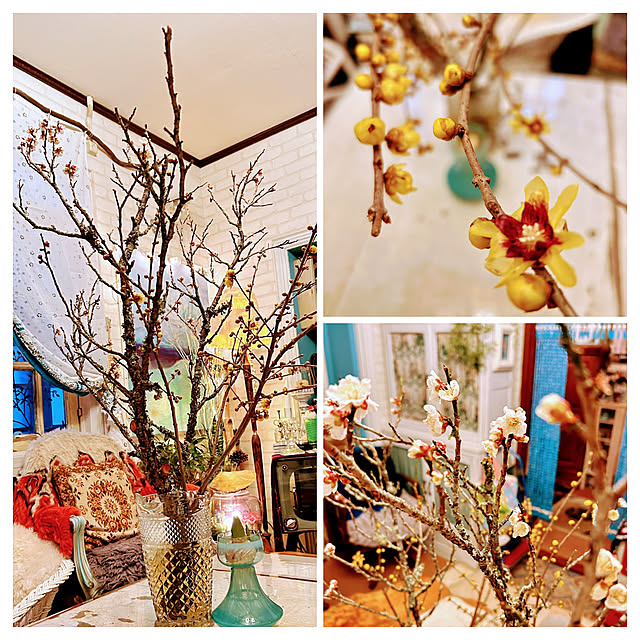 akaidarumaさんの部屋