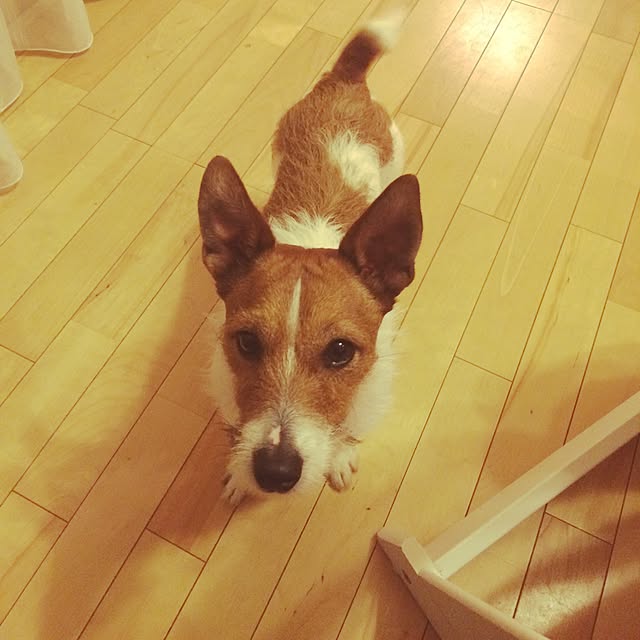 Mioさんの実例写真