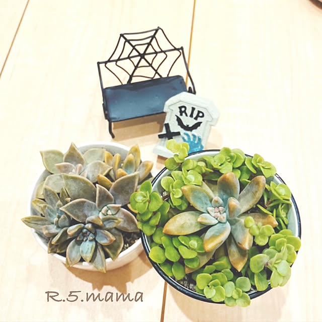 R.5.mamaさんの実例写真