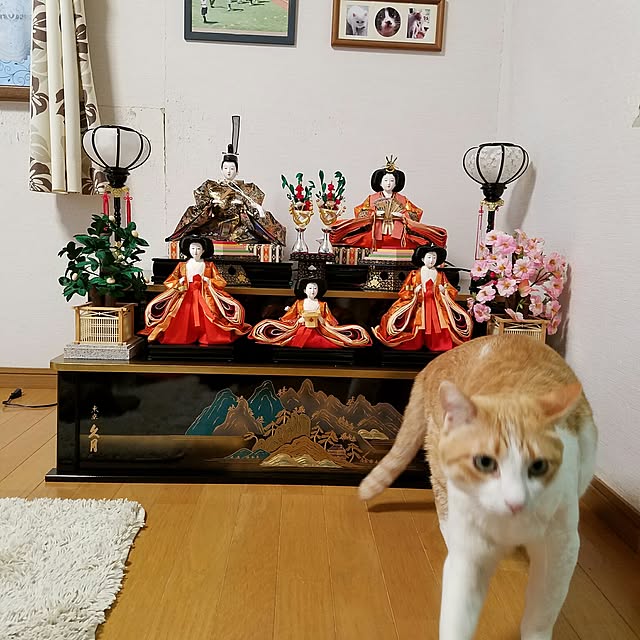 Kinanさんの実例写真