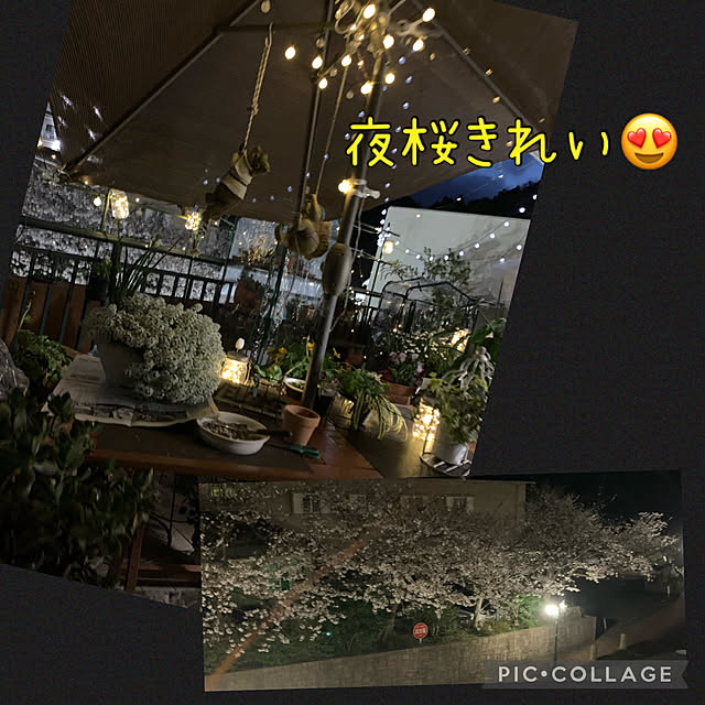 Aqettyさんの実例写真