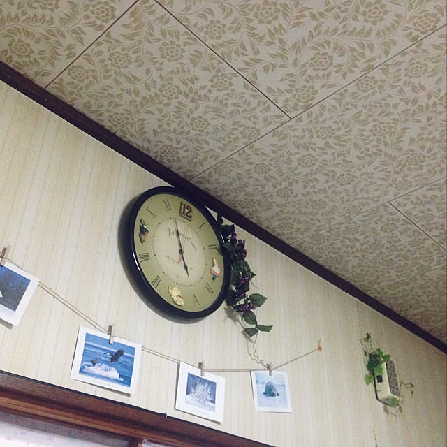 aoinokimiさんの実例写真