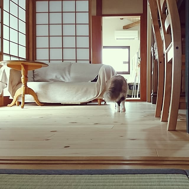 coffee-groundsさんの実例写真