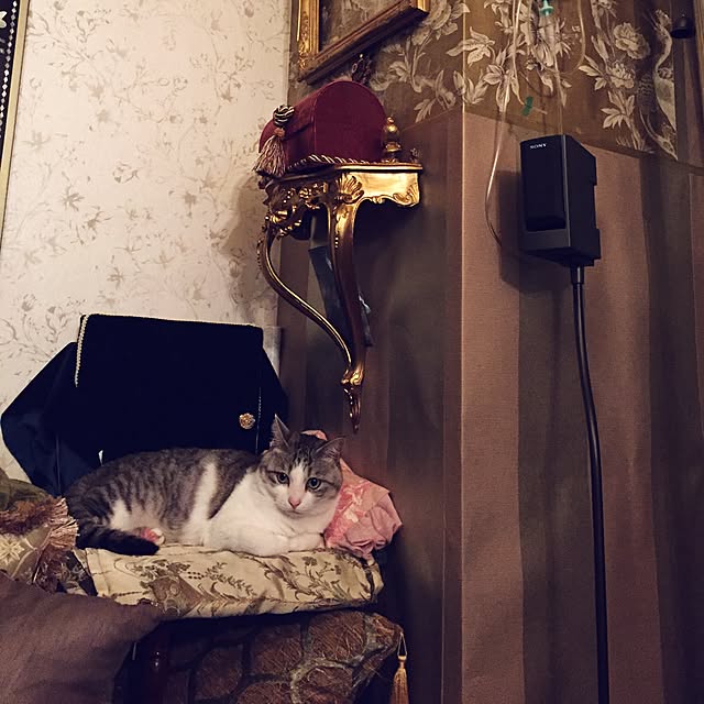 emmyyさんの実例写真