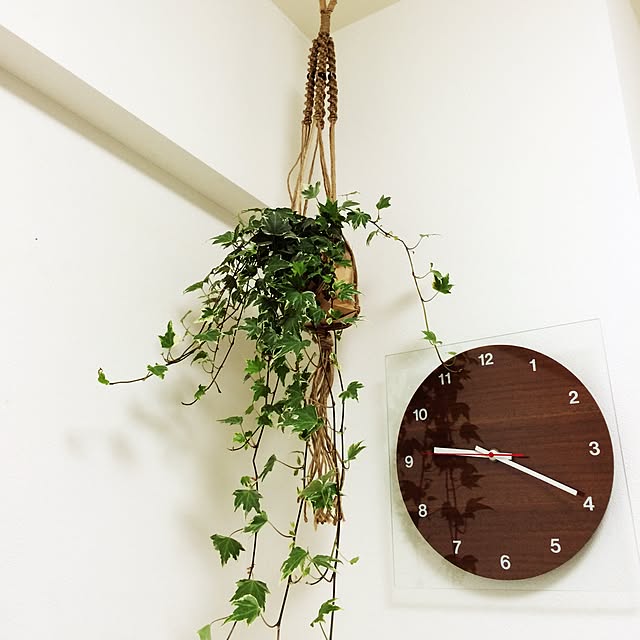 ベッド周り/プラントハンガー/観葉植物のインテリア実例 - 2015-05-01 09:27:41