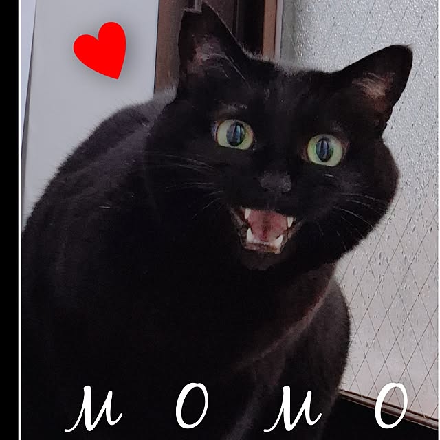 moko.7525himeさんの部屋