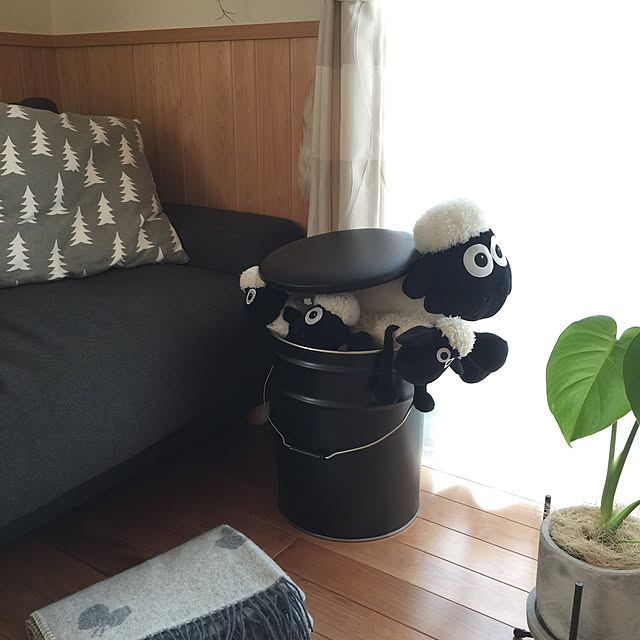 sorasoraさんの実例写真