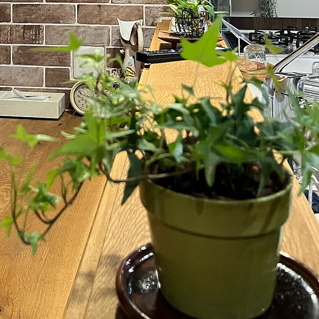 cota2さんの部屋