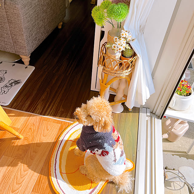 eriharuさんの部屋