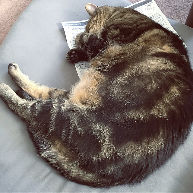 mikomaruさんの実例写真