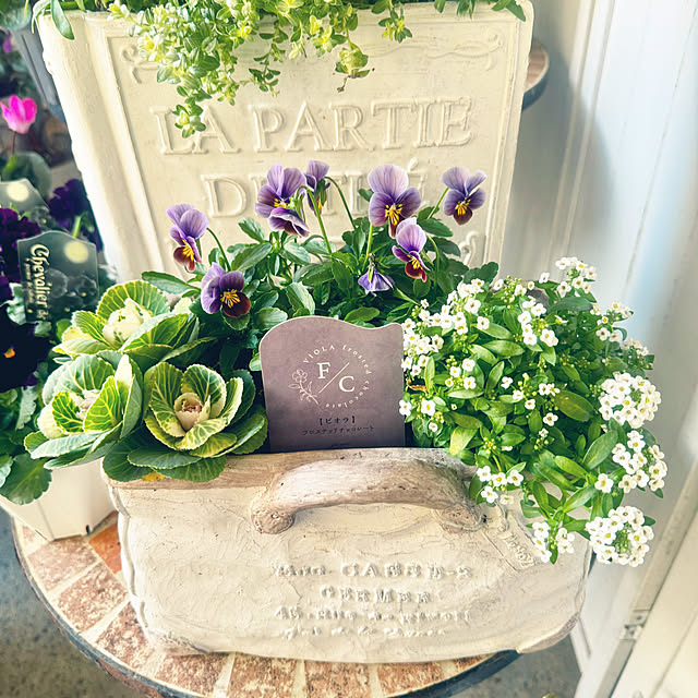 cocoさんの実例写真