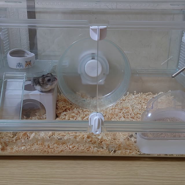 sunflower07さんの部屋